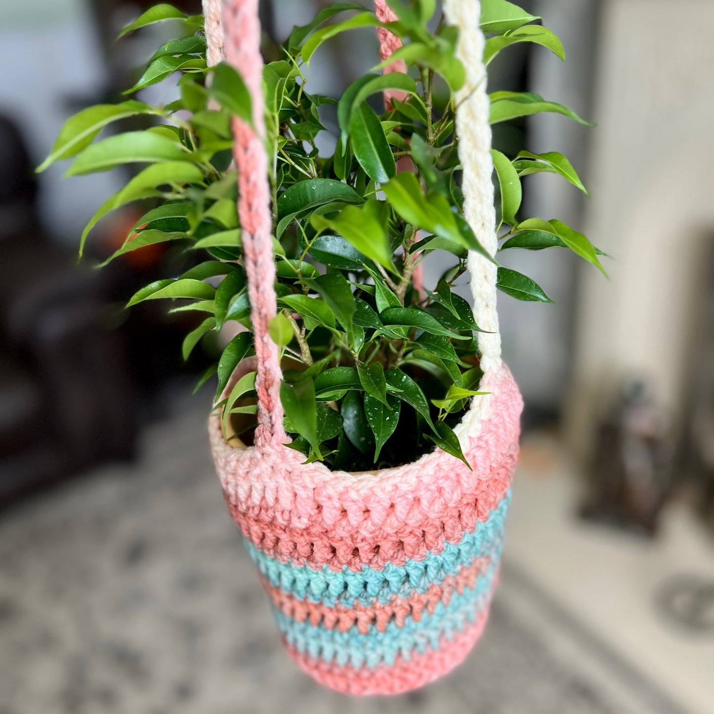 Plant Hanger