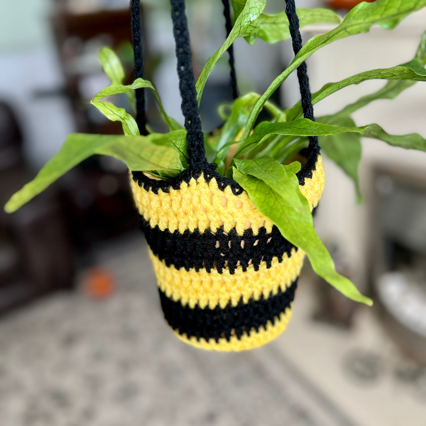 'Bee' Plant Hanger