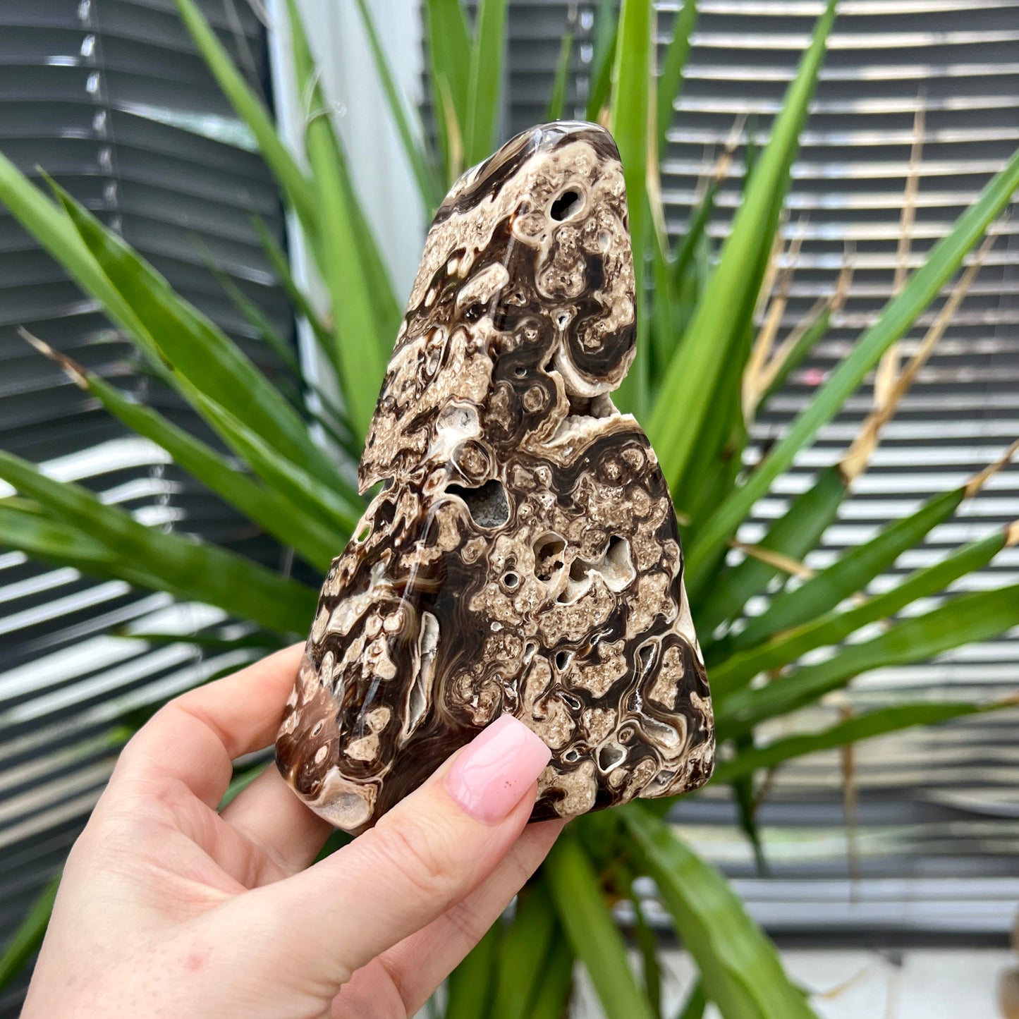 Chocolate Calcite Freeform