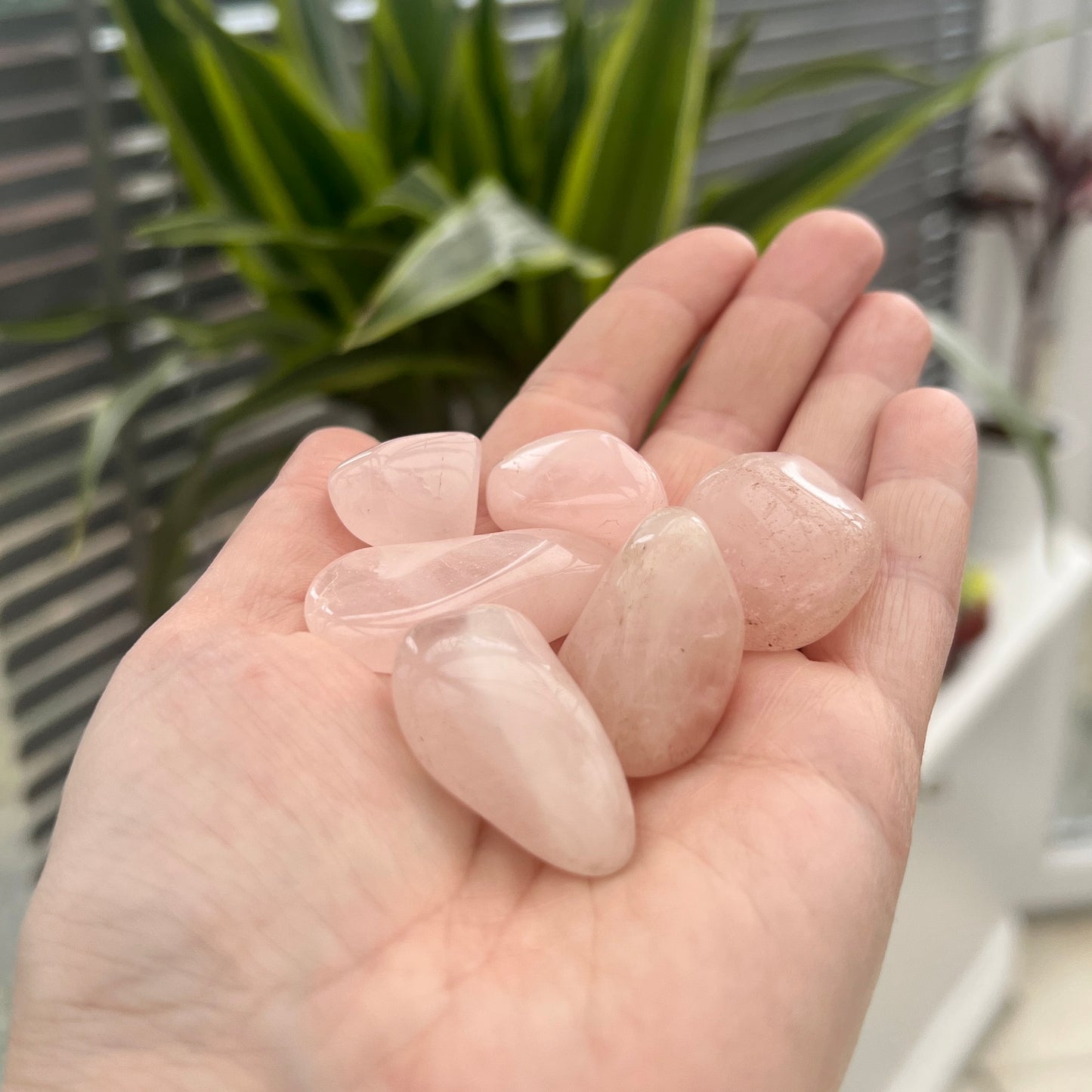 Rose Quartz TumbleStones