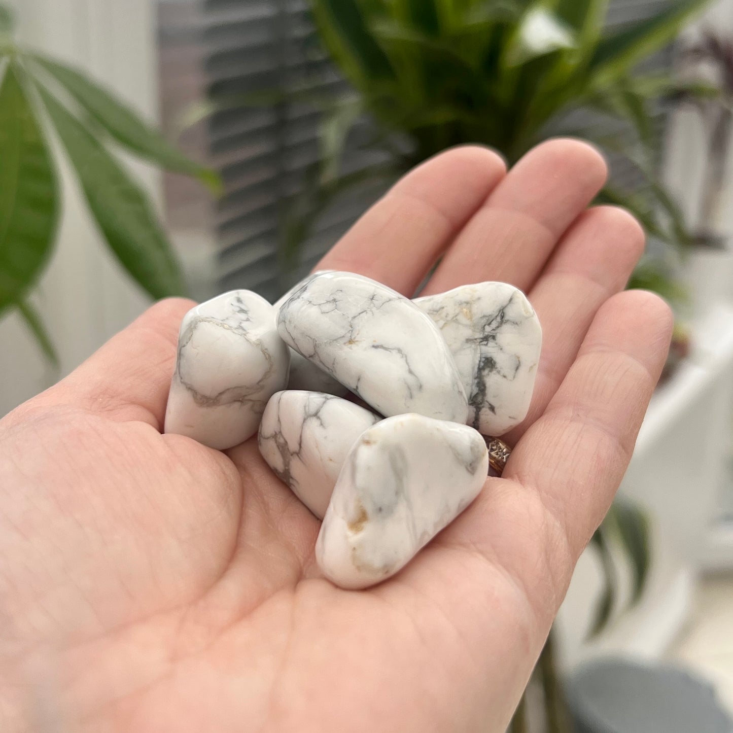 Howlite TumbleStones