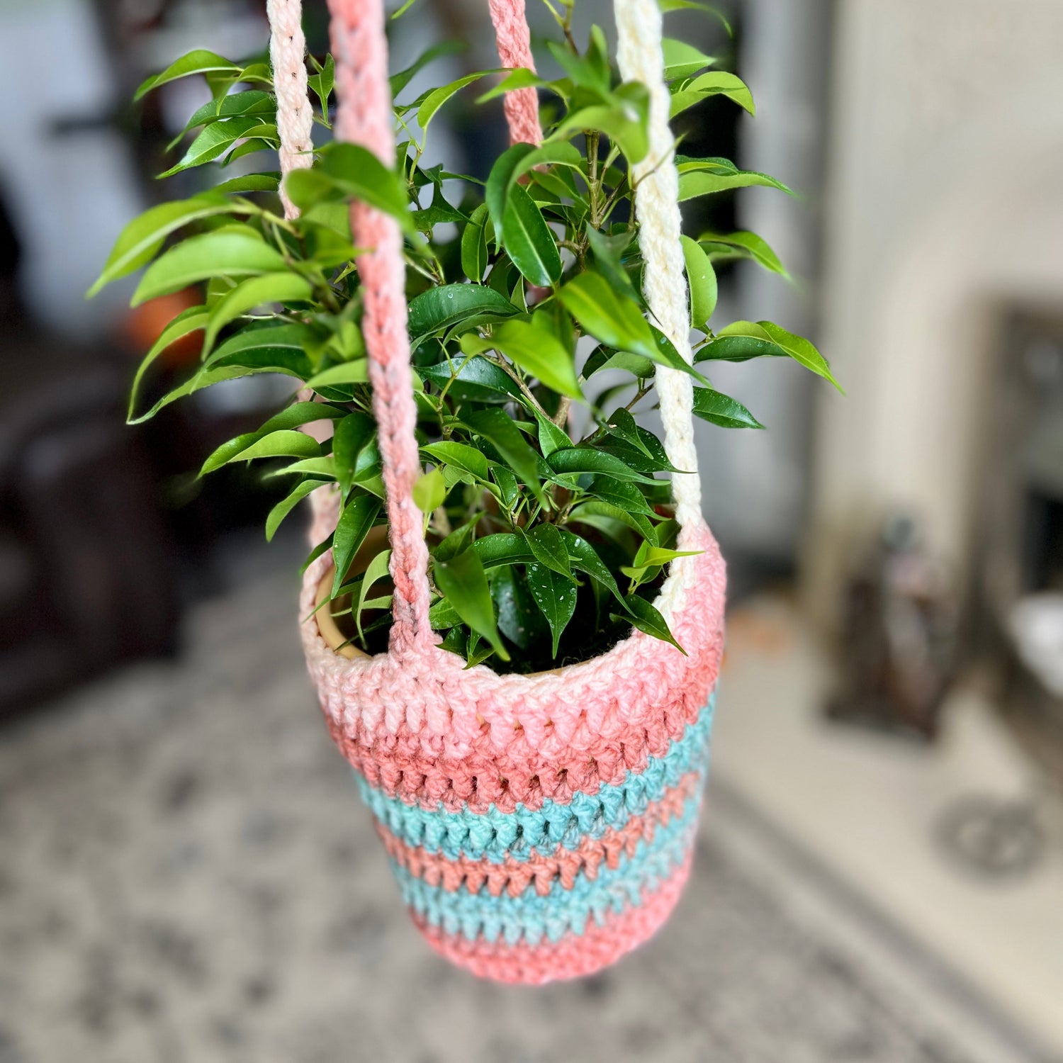 Plant Hangers