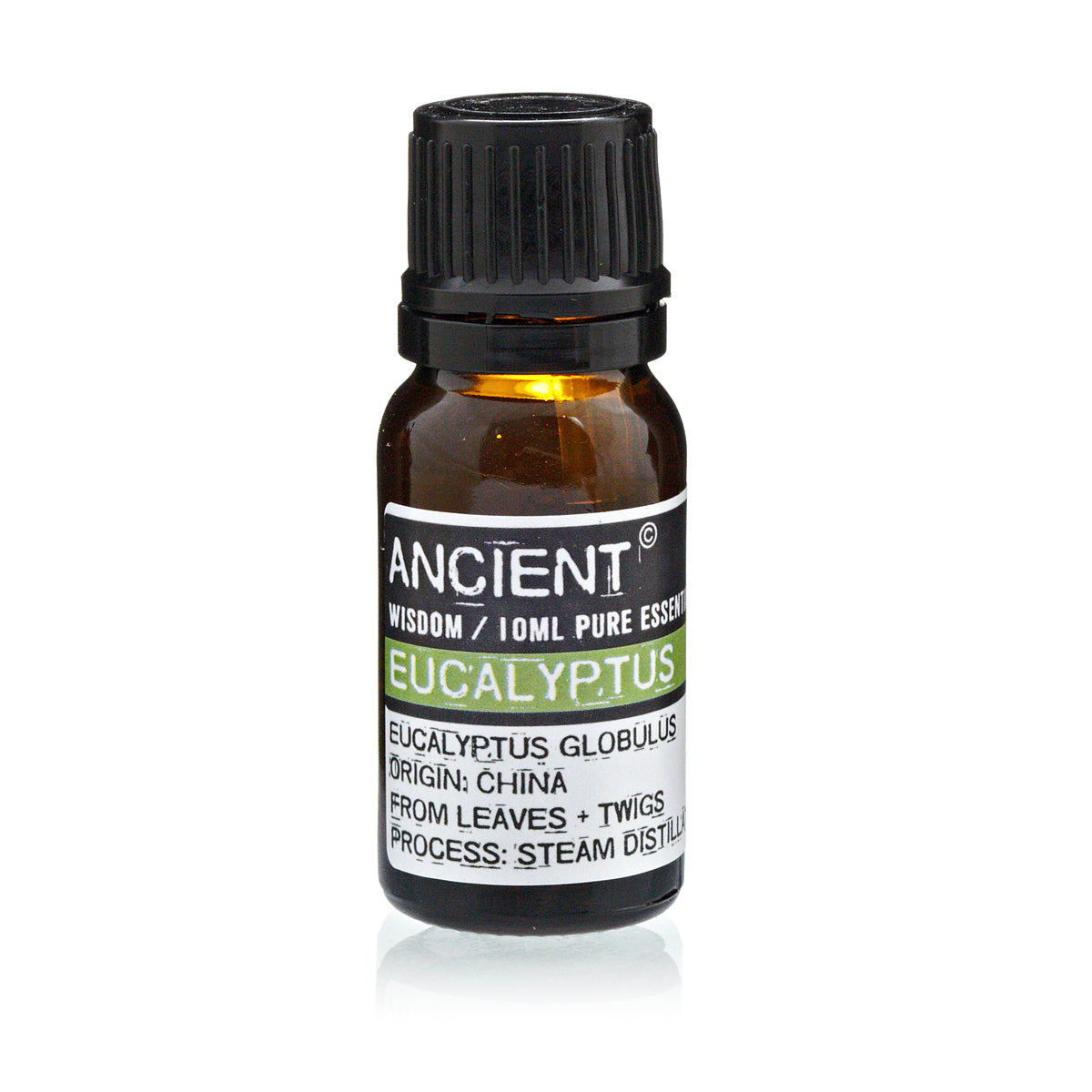 Eucaluptus Essential Oil