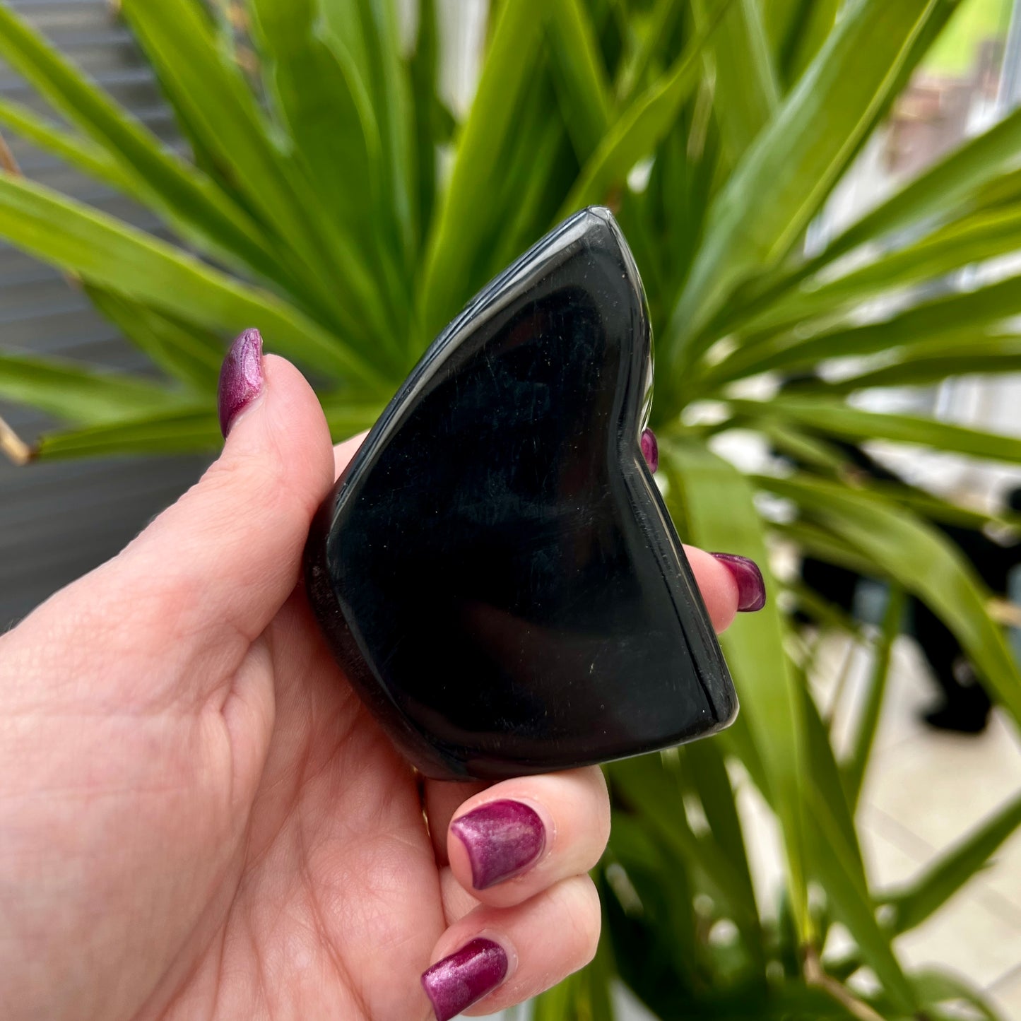 Black Obsidian Freeform