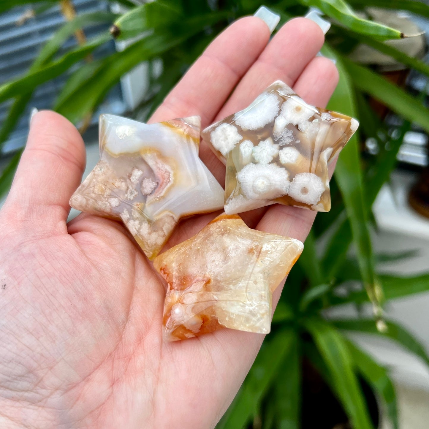 Flower Agate Stars