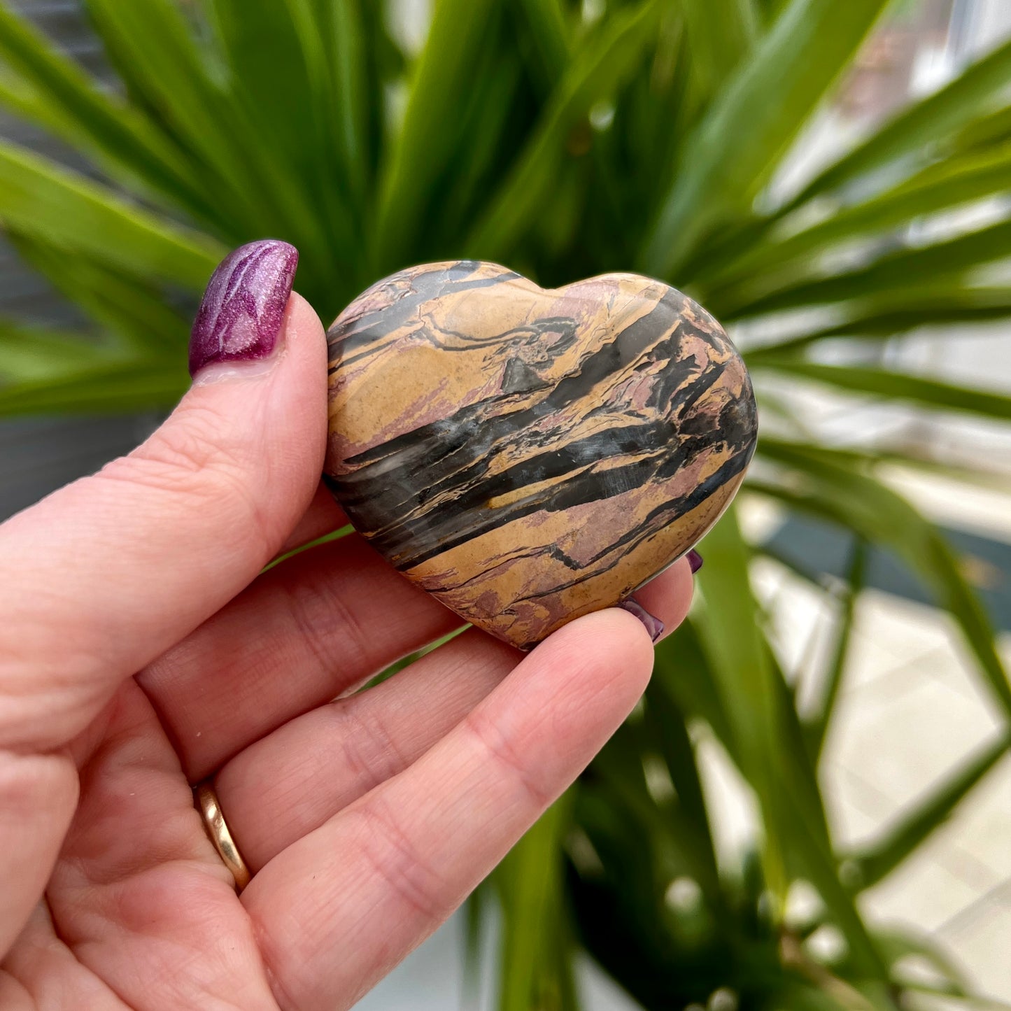 Zebra Jasper Hearts