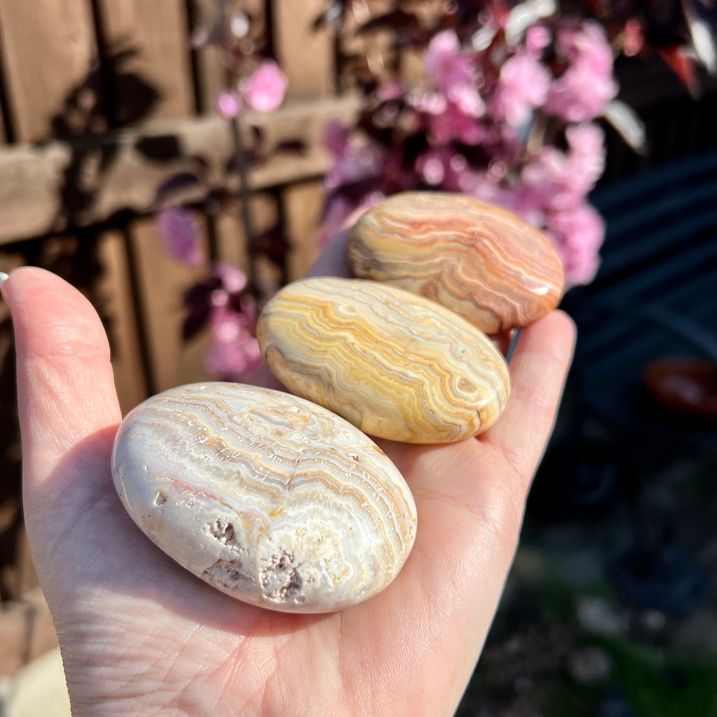 Crazy Lace Agate Palm Stones