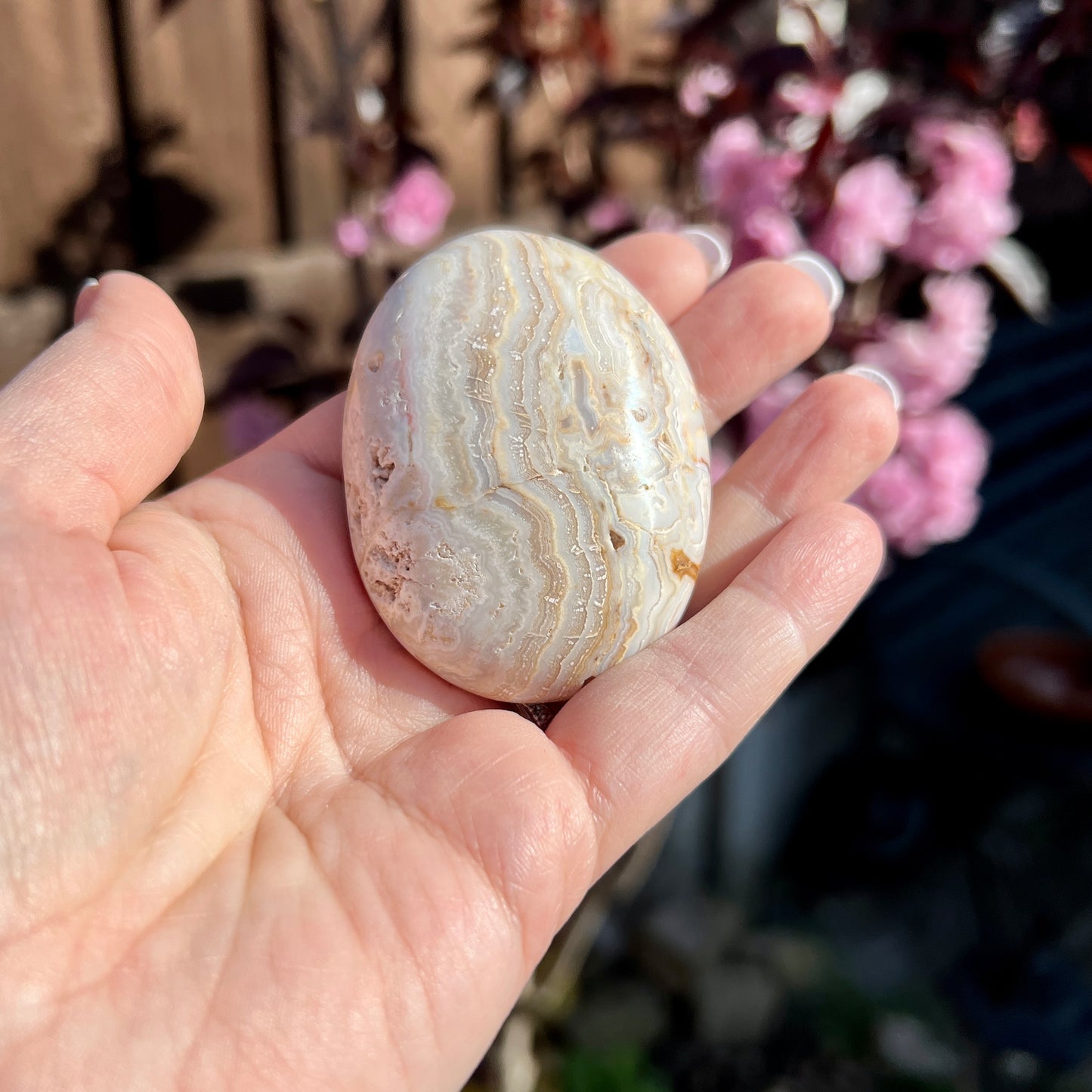 Crazy Lace Agate Palm Stones