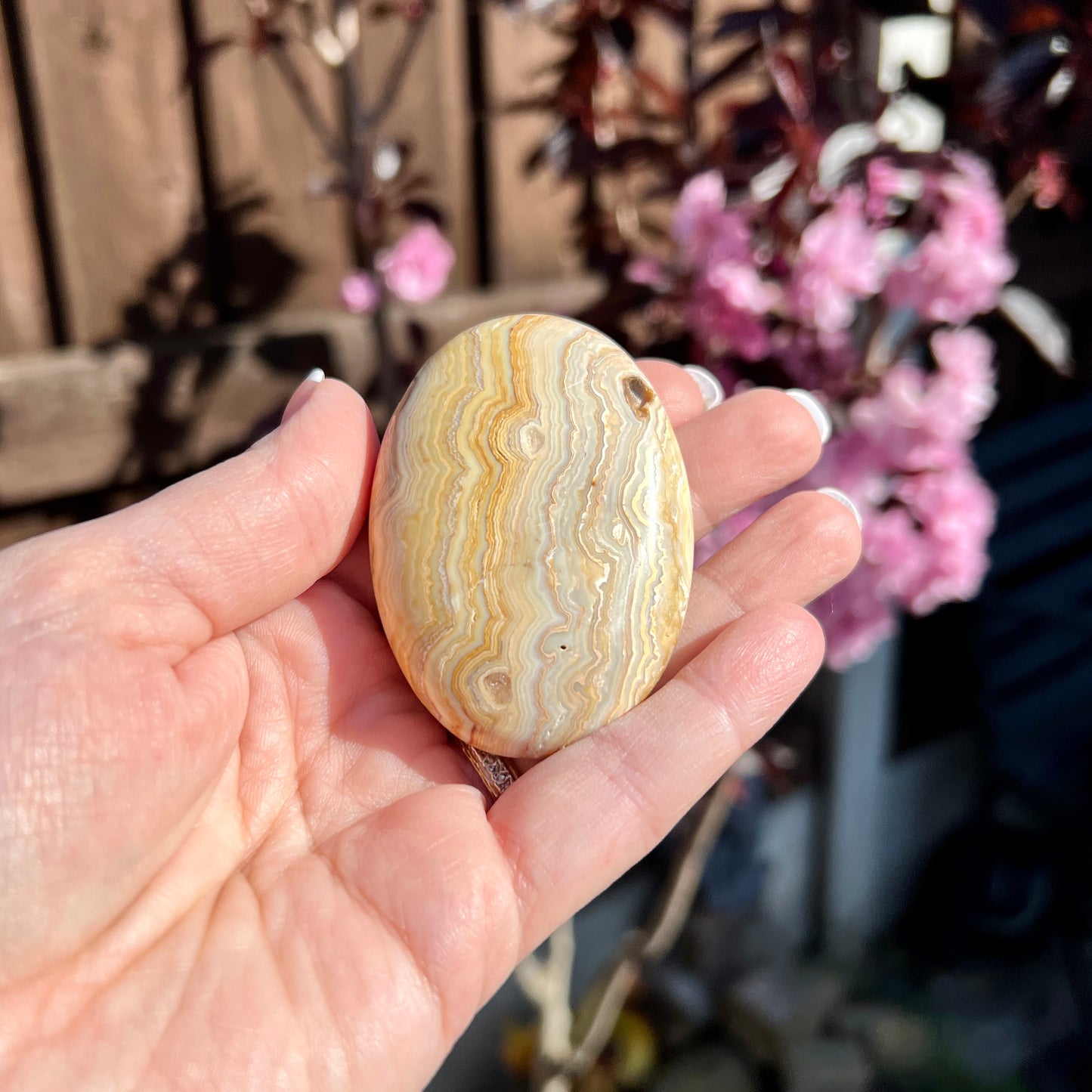 Crazy Lace Agate Palm Stones