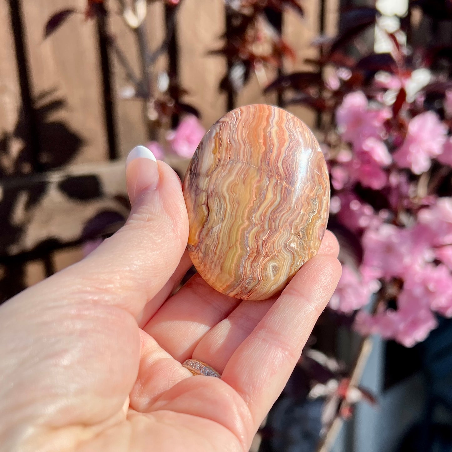 Crazy Lace Agate Palm Stones