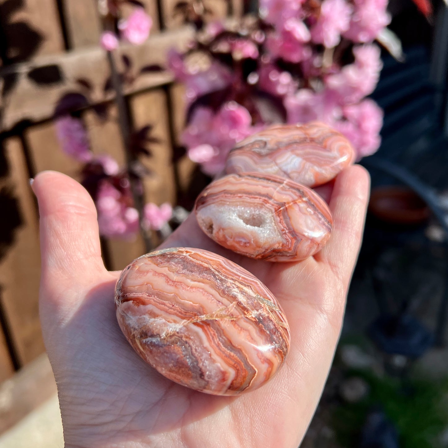 Crazy Lace Agate Palm Stones