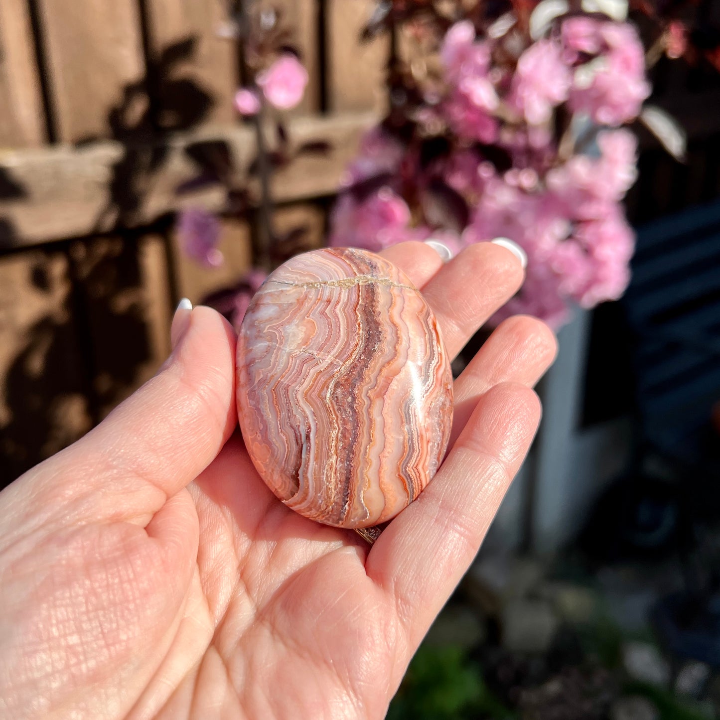 Crazy Lace Agate Palm Stones