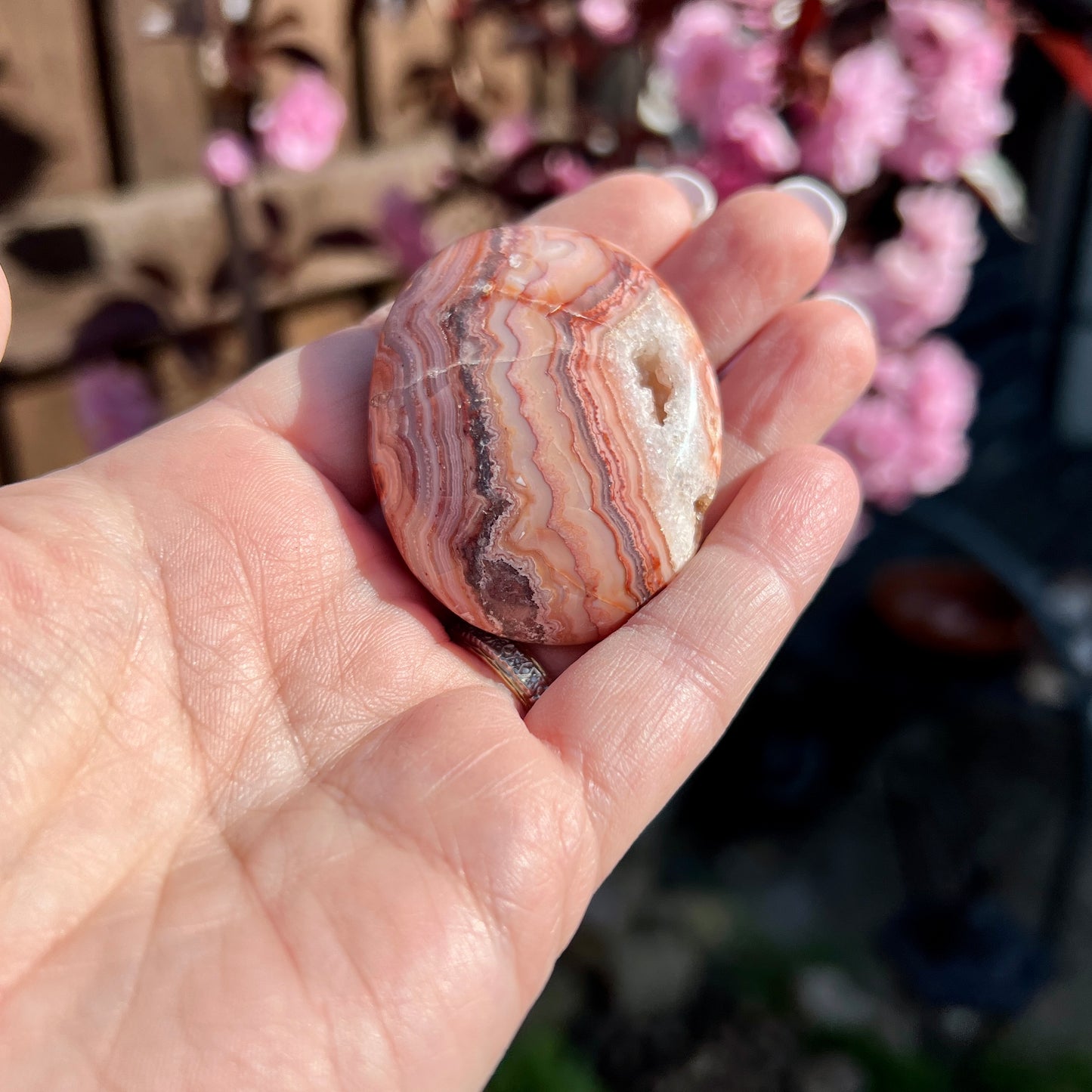 Crazy Lace Agate Palm Stones