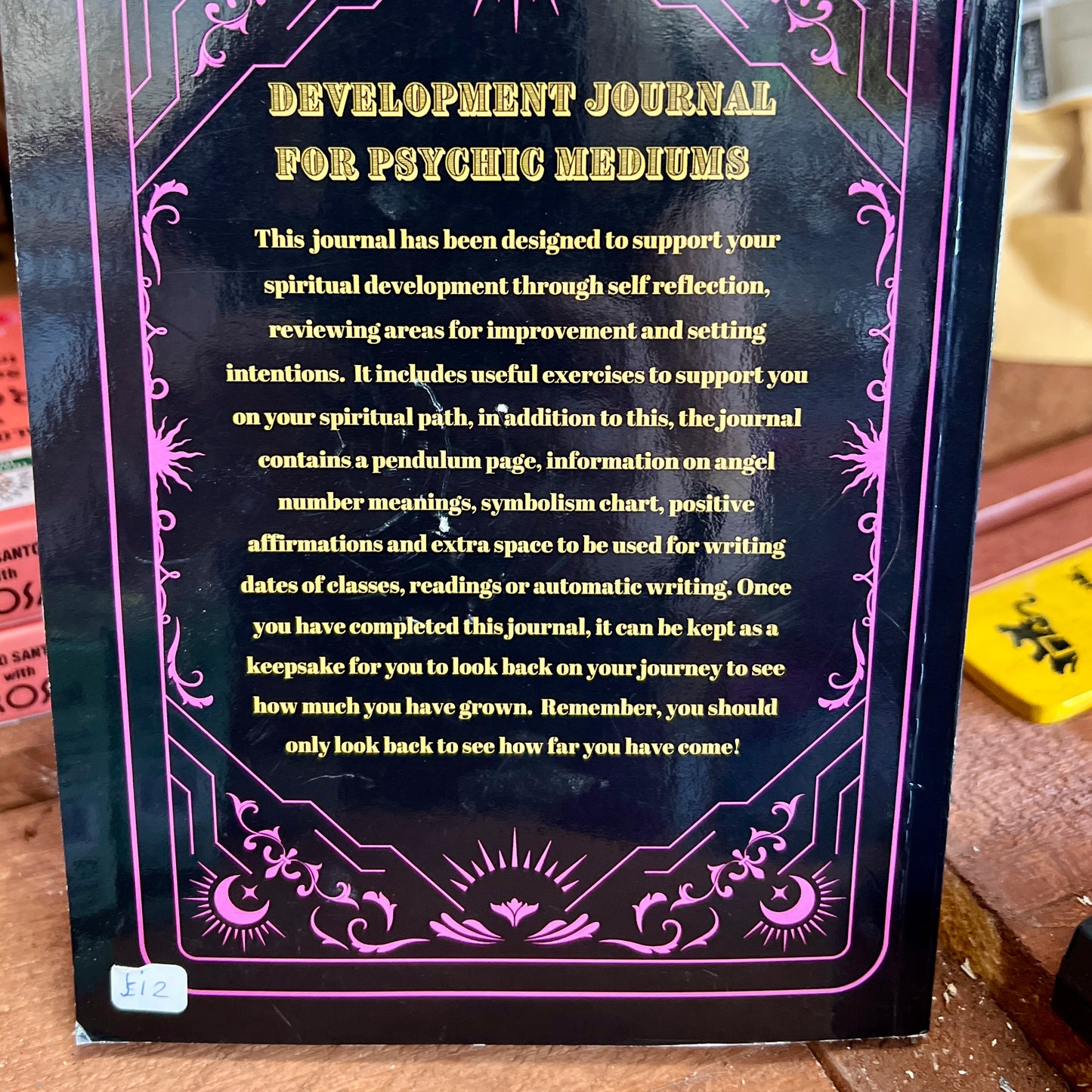 Development Journal for Psychic Mediums