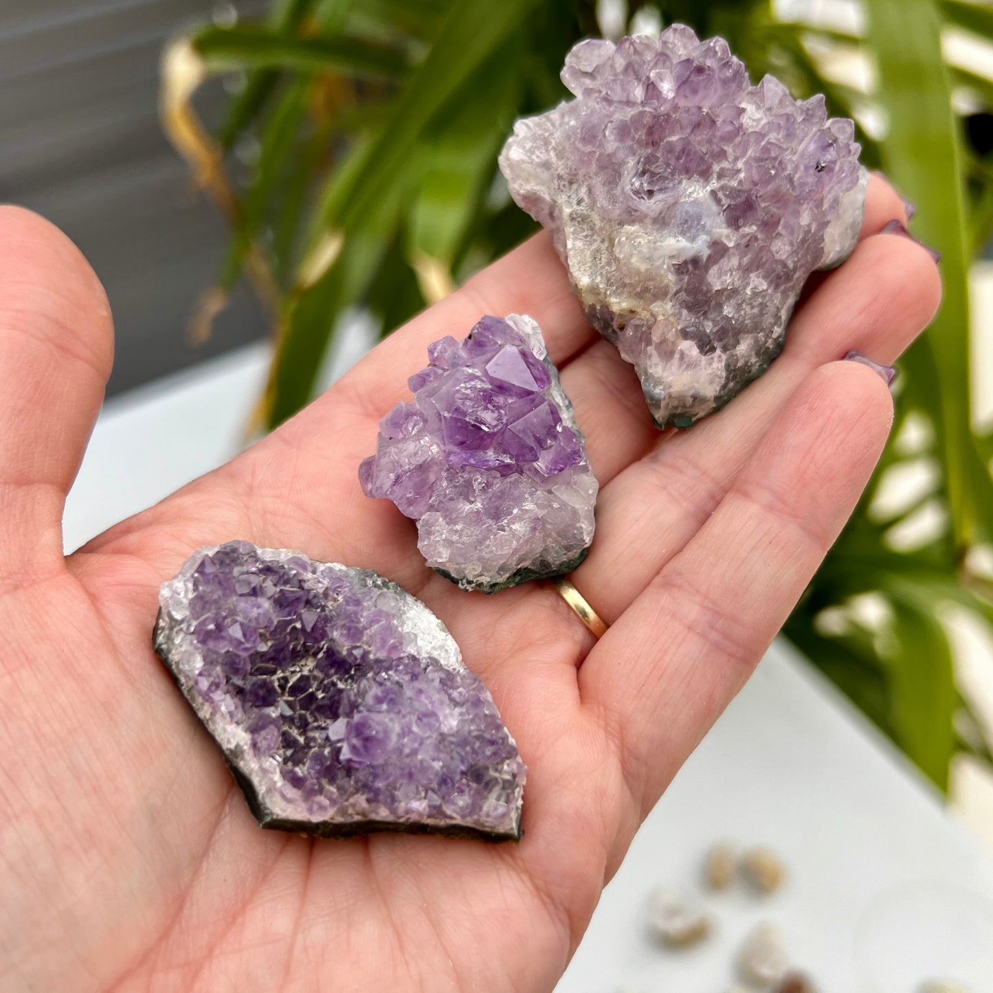 Amethyst Clusters