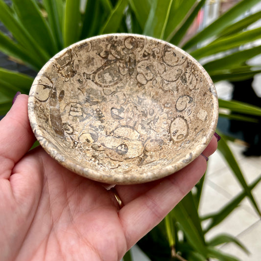 Fossil Jasper Bowls