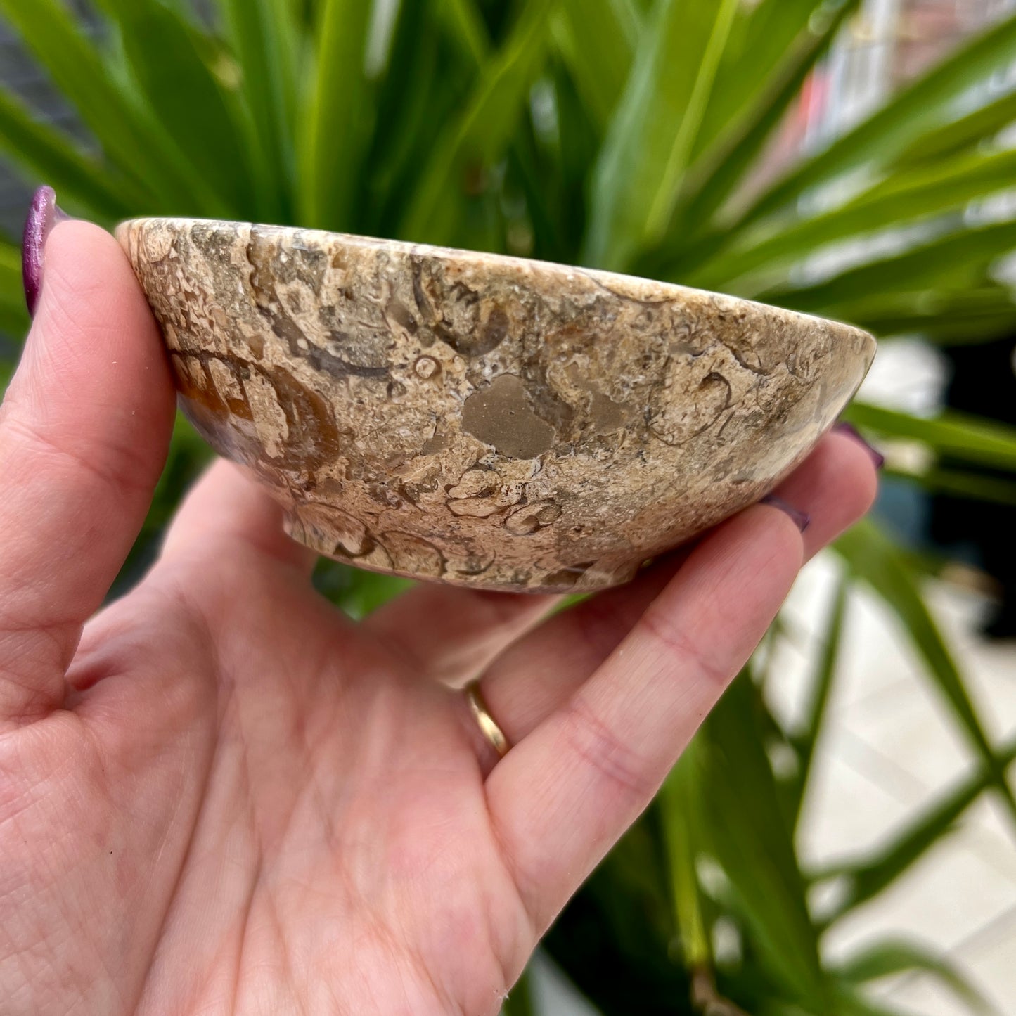 Fossil Jasper Bowls