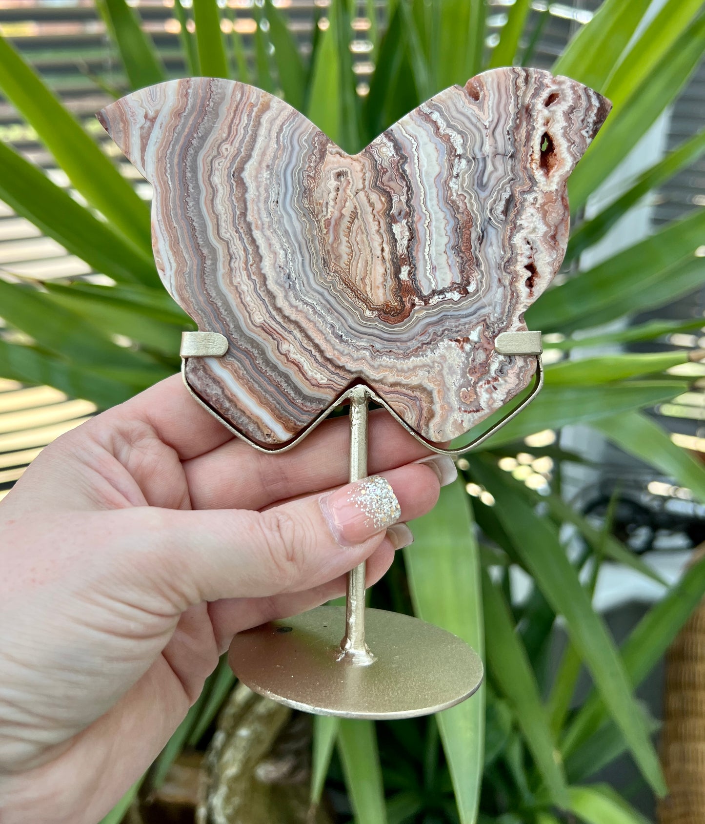 Crazy Lace Agate Butterflies on stands