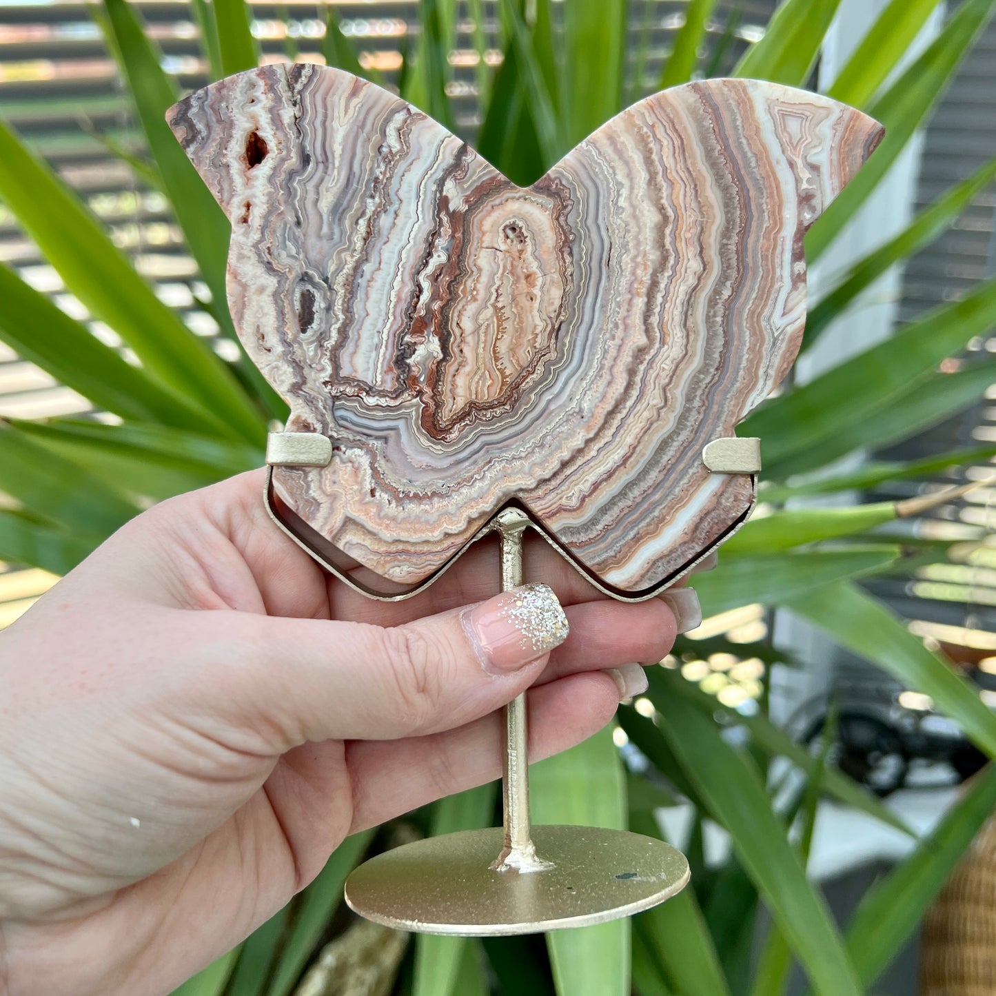 Crazy Lace Agate Butterflies on stands