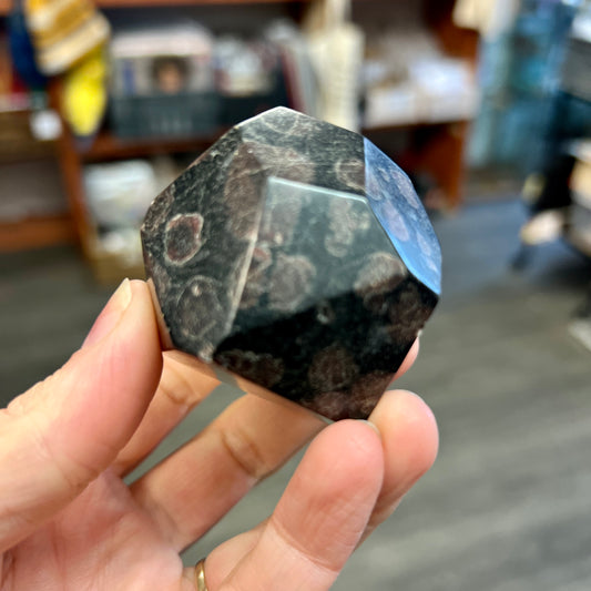 Kambaba Jasper Freeform