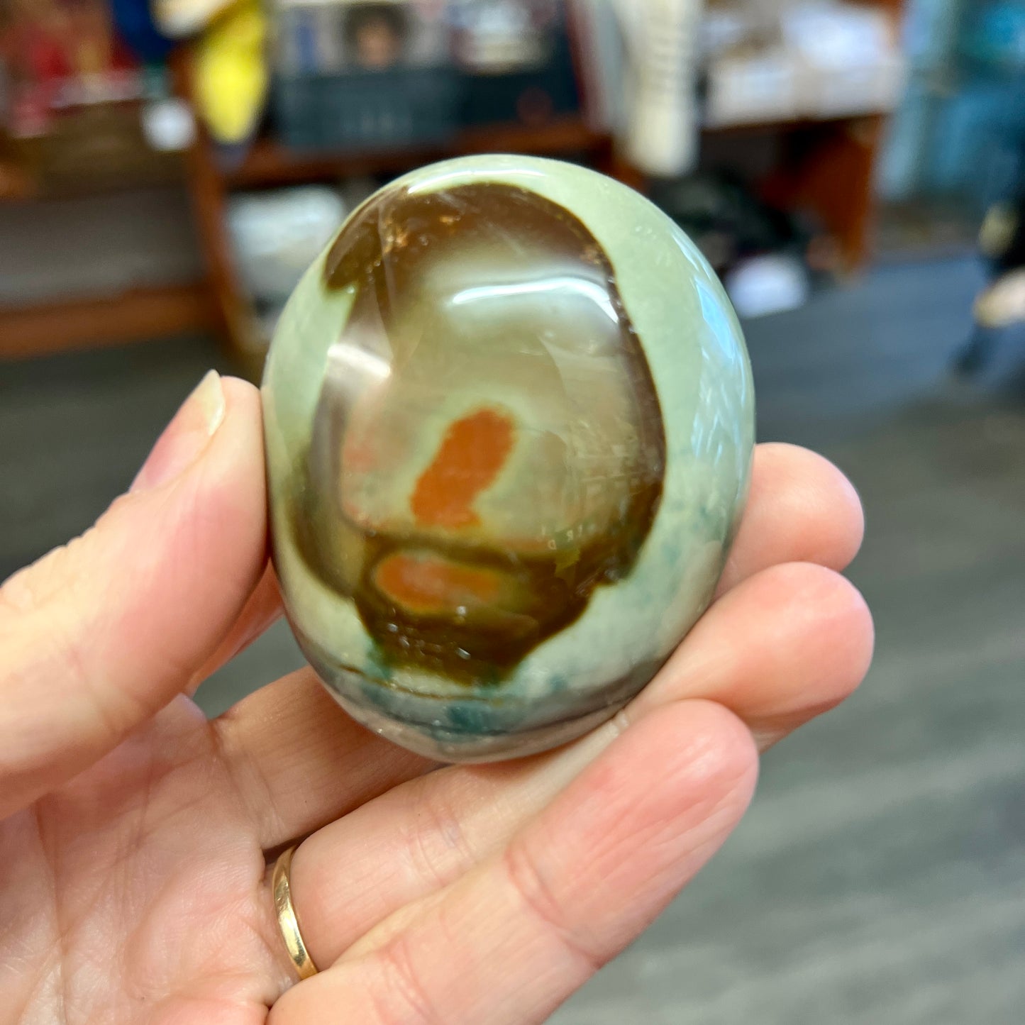 Petrified Wood Palm Stone