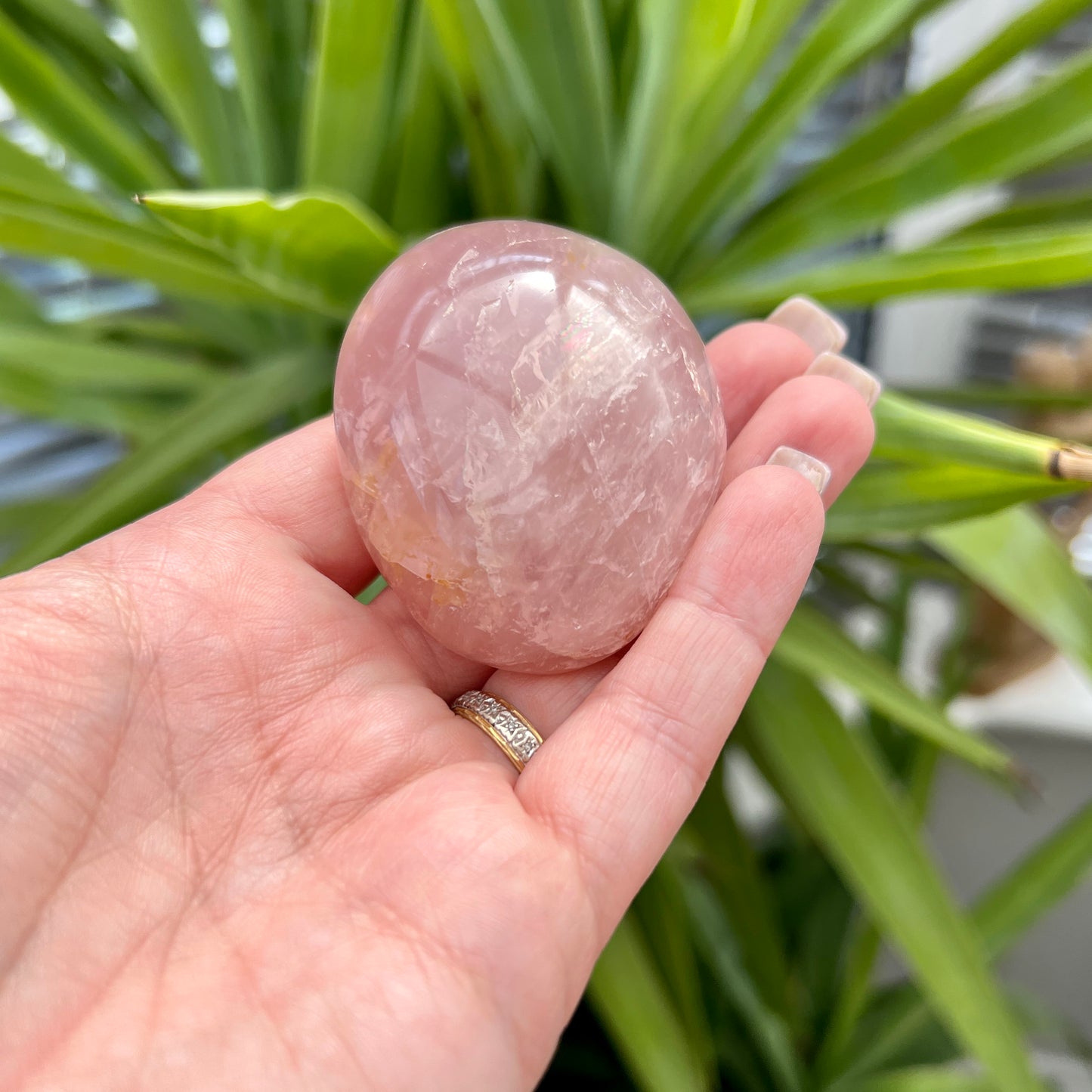 Rose Quartz Palm Stones