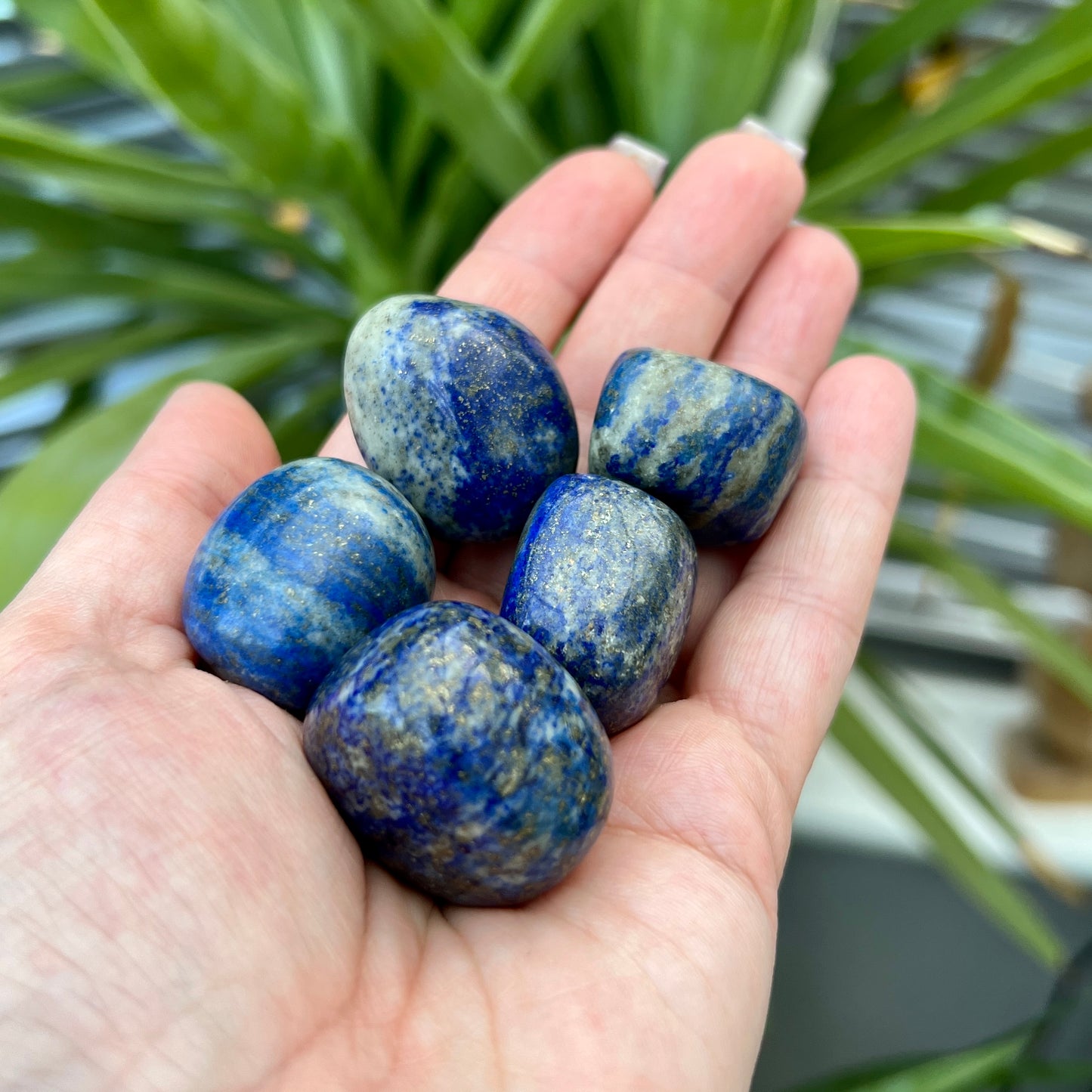 Lapis Lazuli Tumblestones