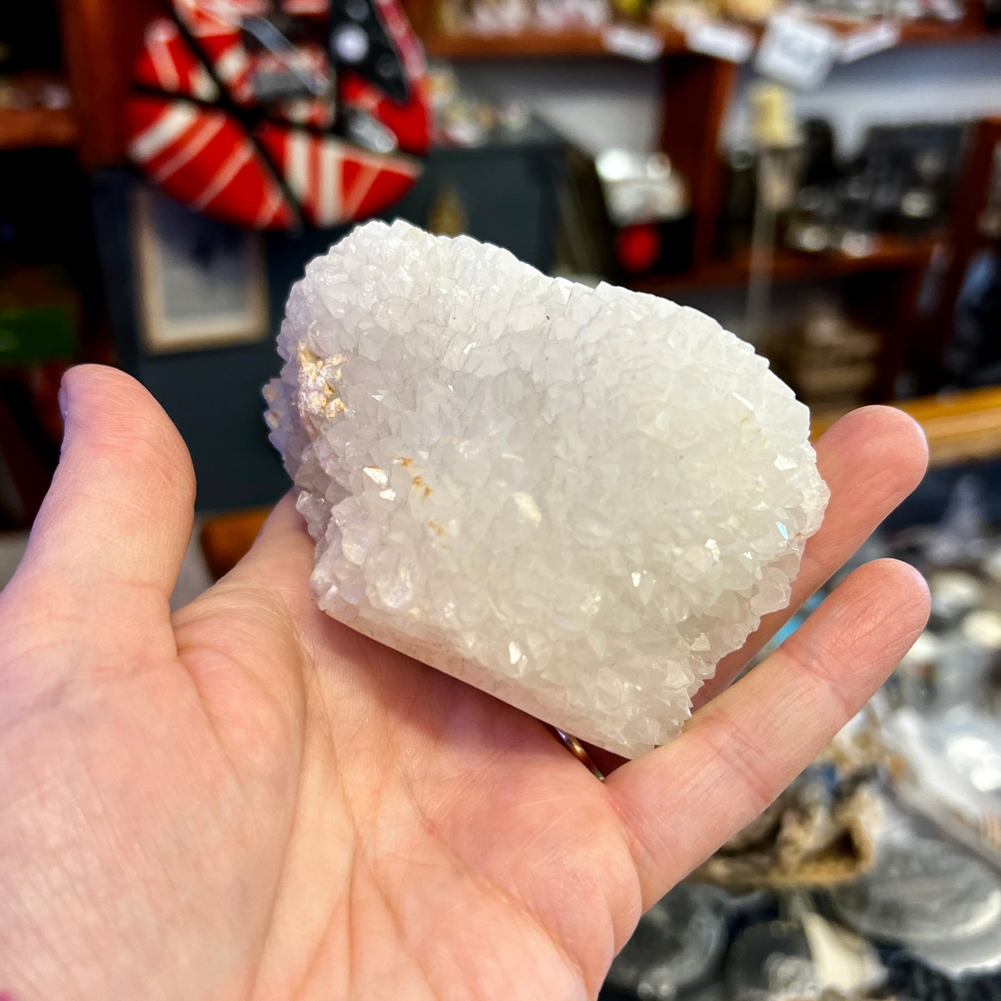 Shell Jasper & Quartz Cluster