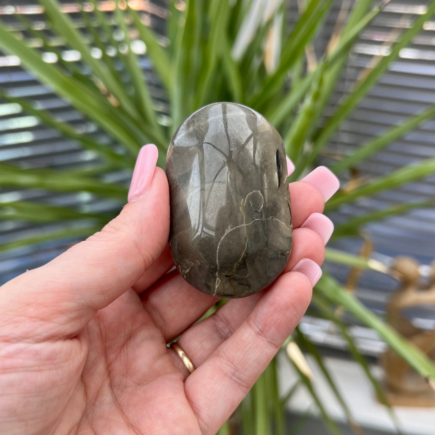 Black Moonstone Palm Stone