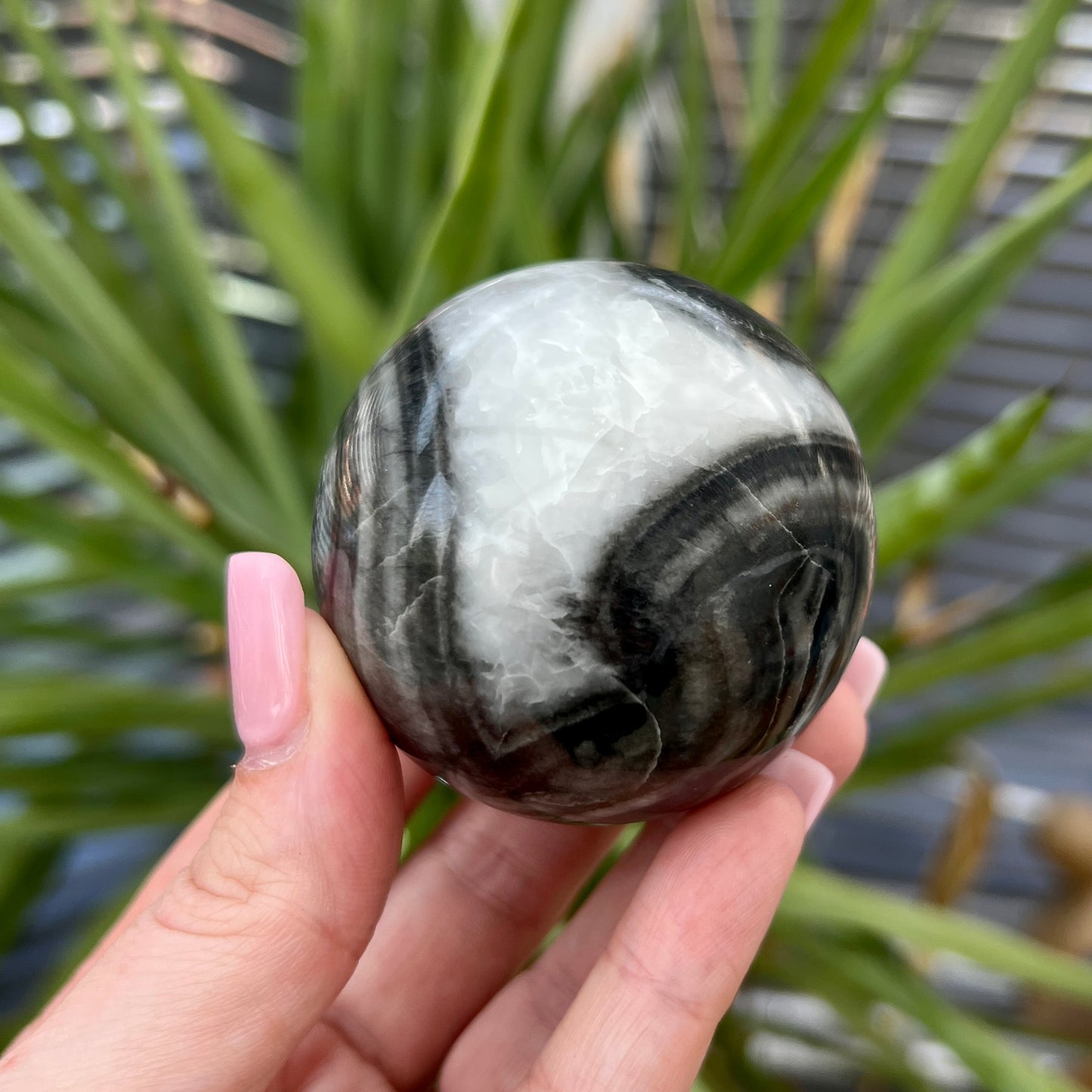 Shell Jasper Sphere