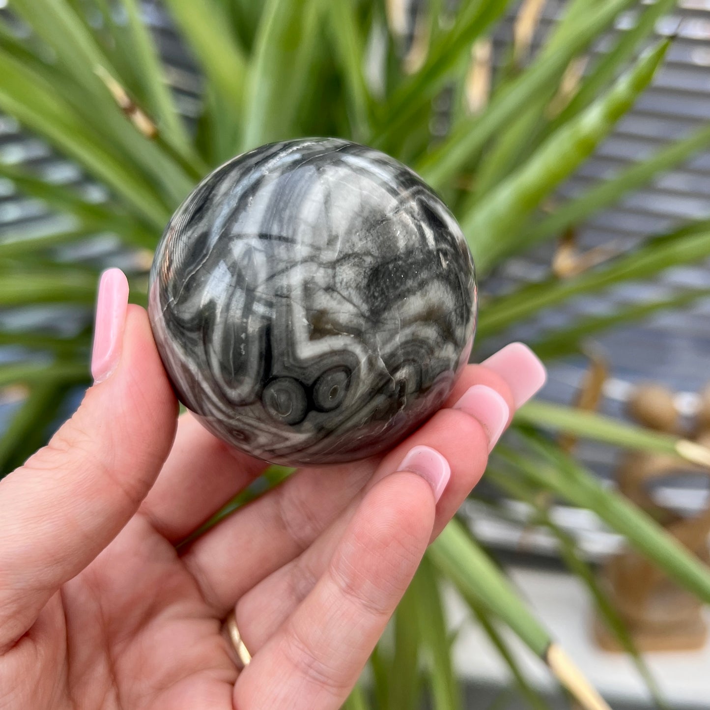 Shell Jasper Sphere