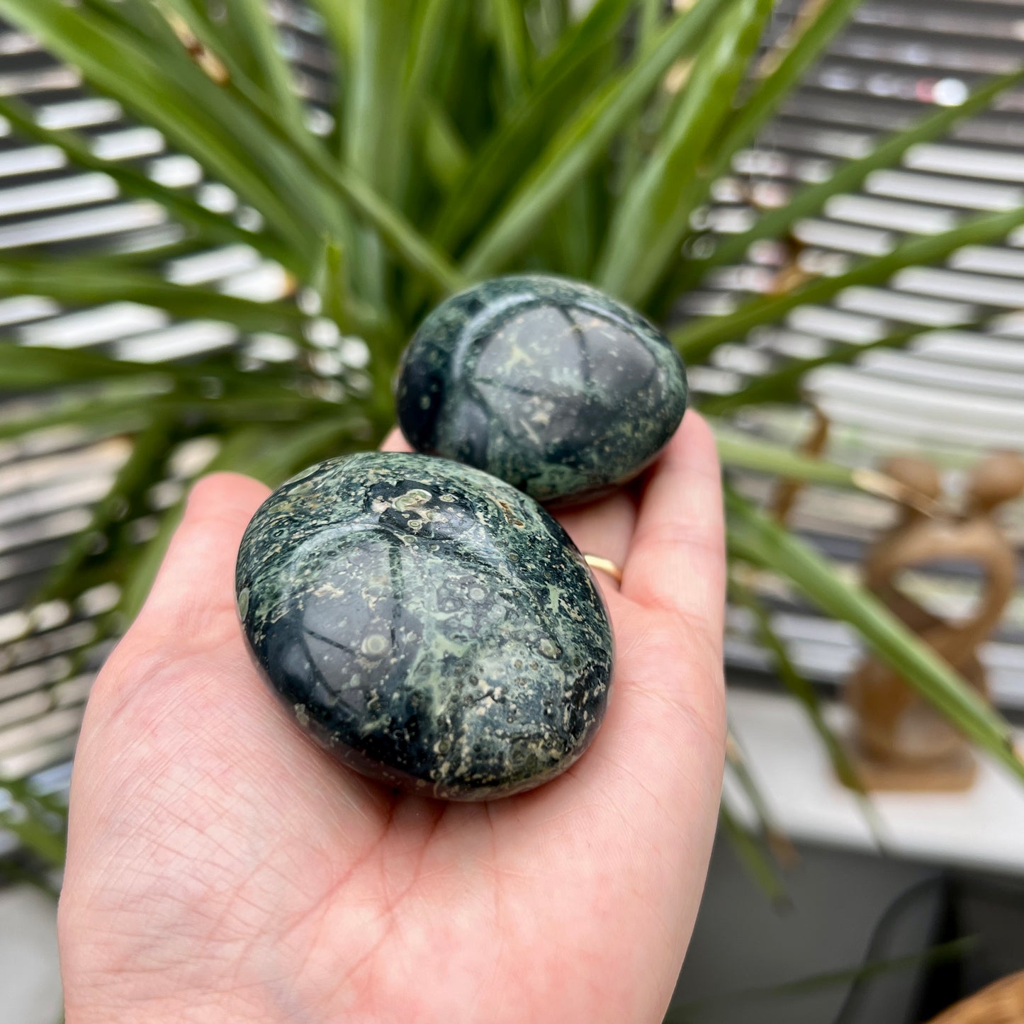 Kambaba Jasper Palm Stones