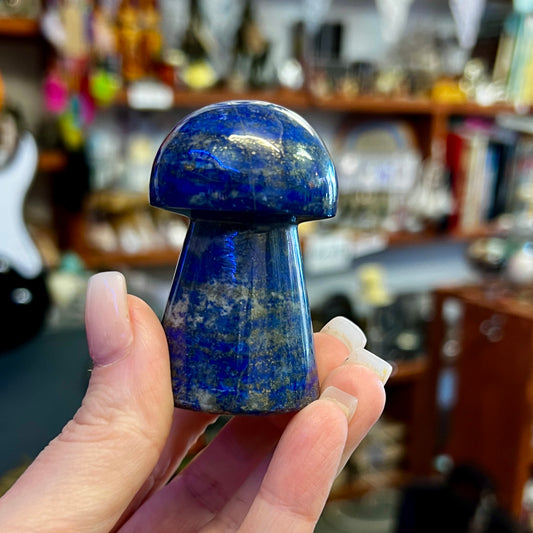 Lapis Lazuli Mushroom