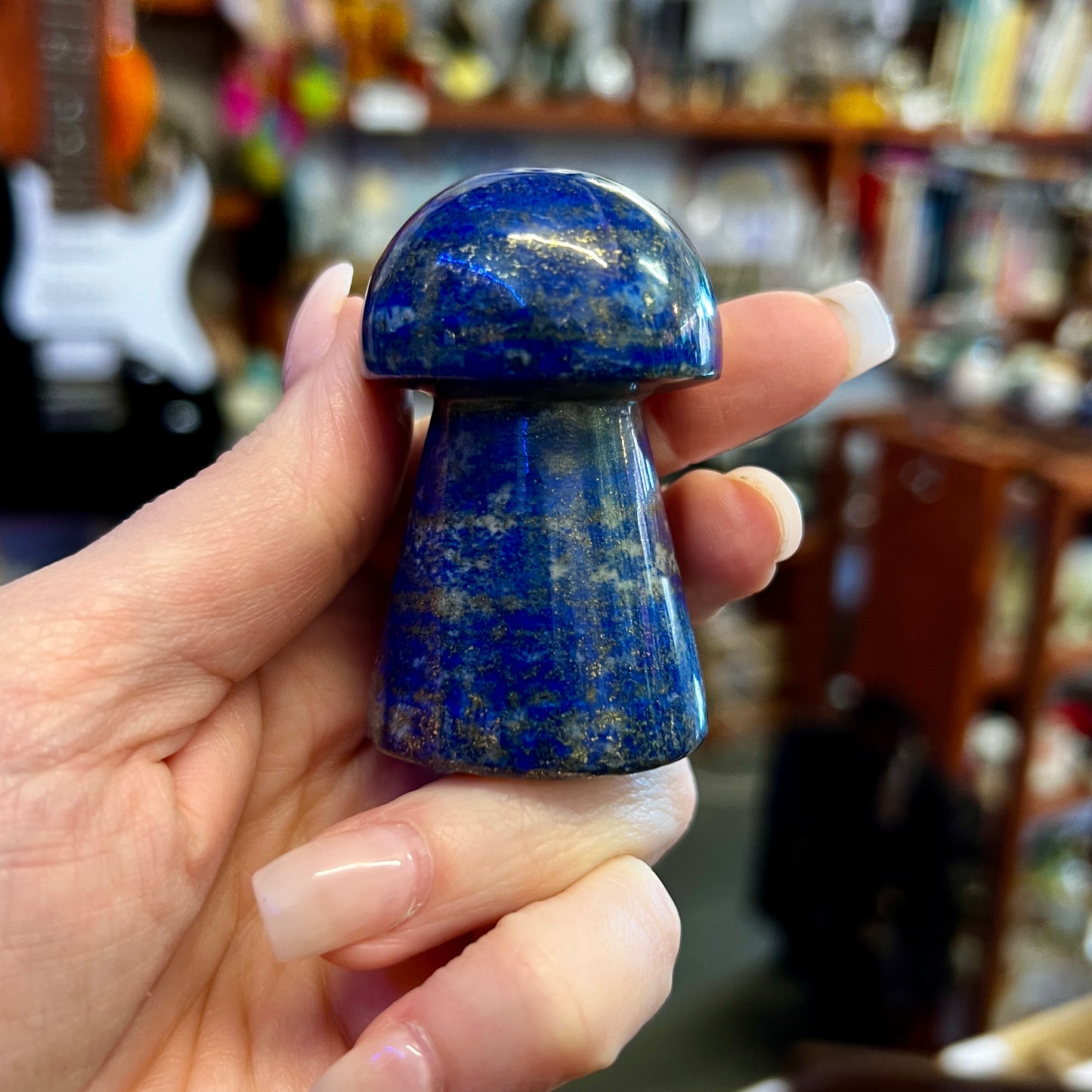 Lapis Lazuli Mushroom