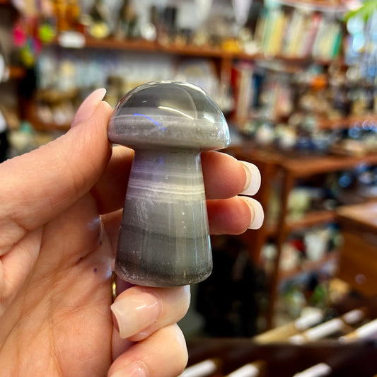 Black Banded Onyx Mushroom