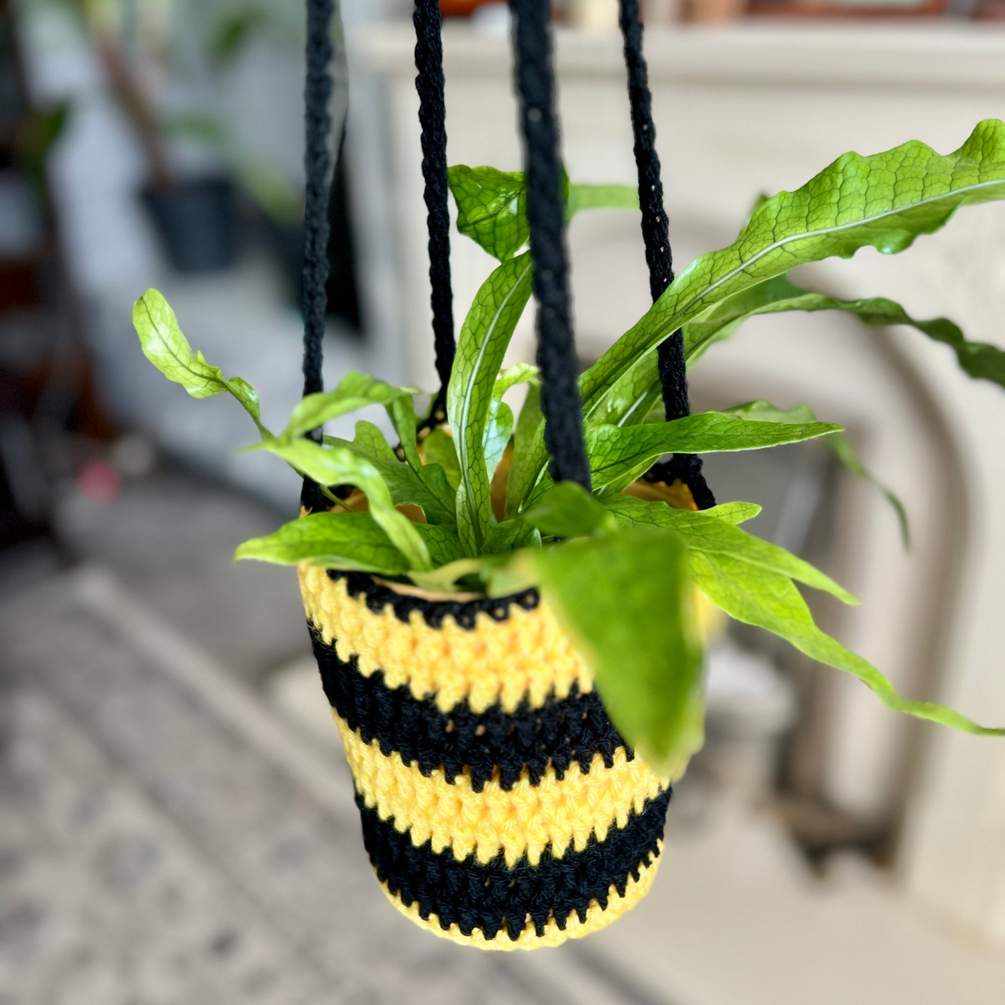 'Bee' Plant Hanger