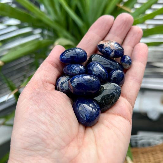 Sodalite Tumble Stones