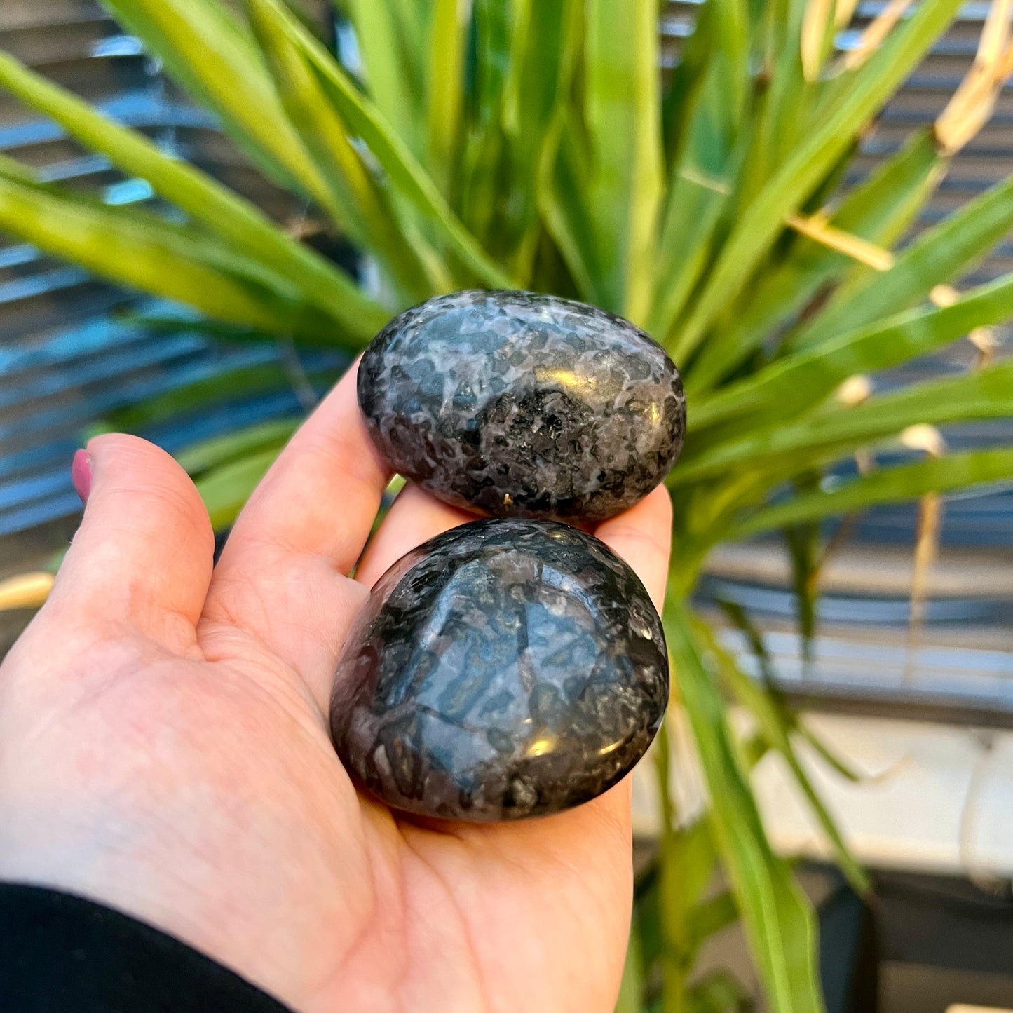 Indigo Gabbro Palm Stones