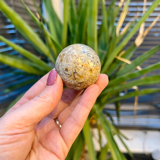 Fossil Jasper Sphere