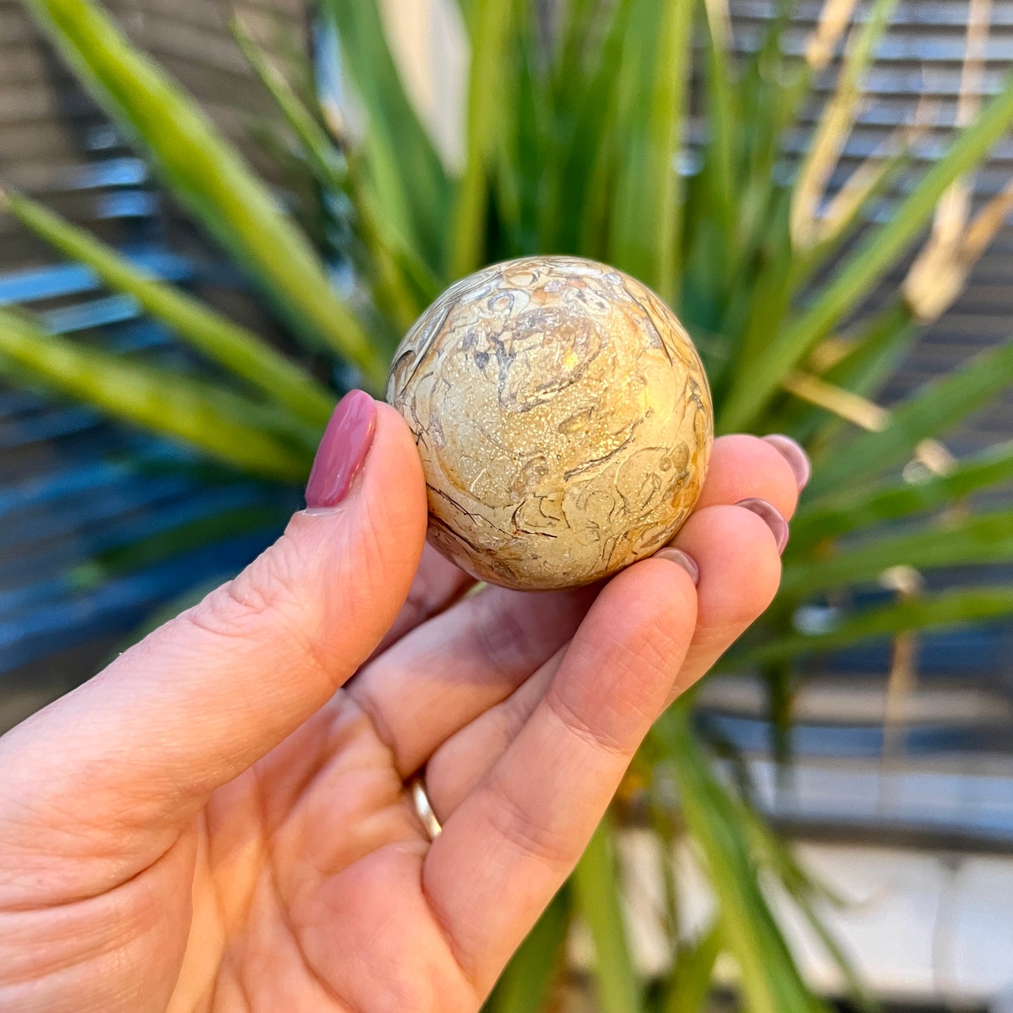 Fossil Jasper Sphere