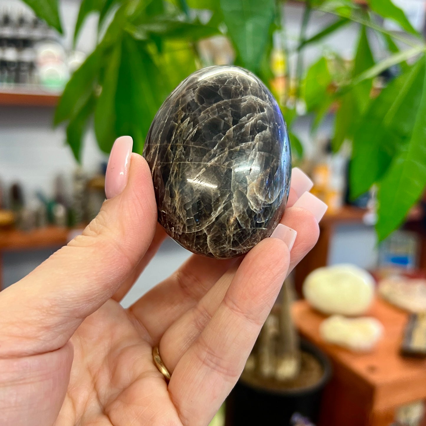 Black Moonstone Palm Stone