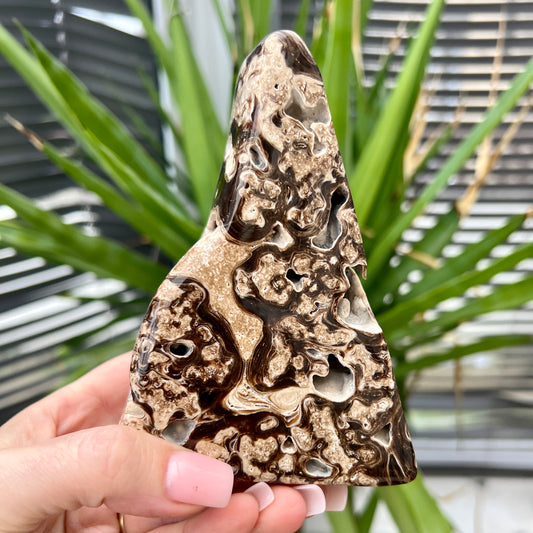Chocolate Calcite Freeform