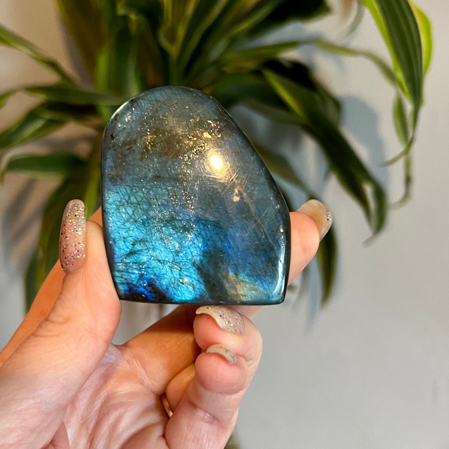 Labradorite Free Forms