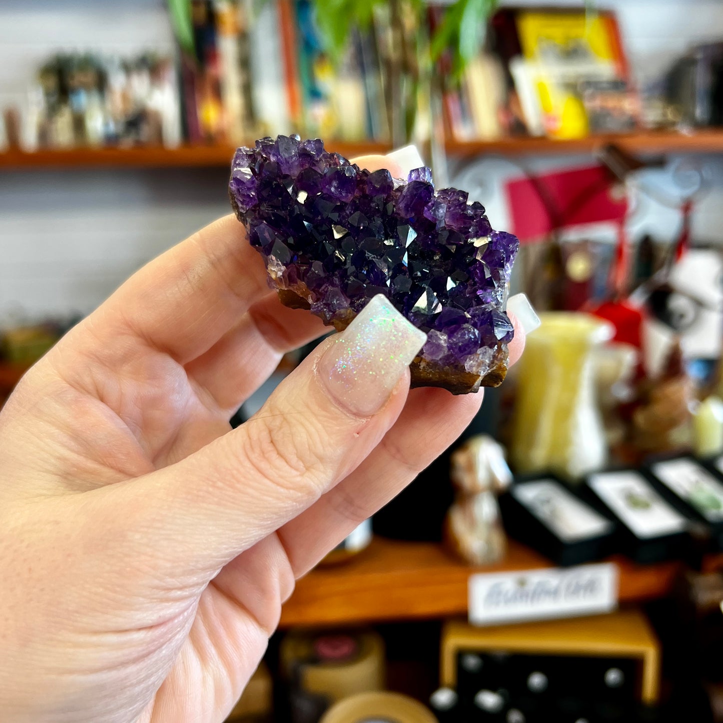 Amethyst Clusters