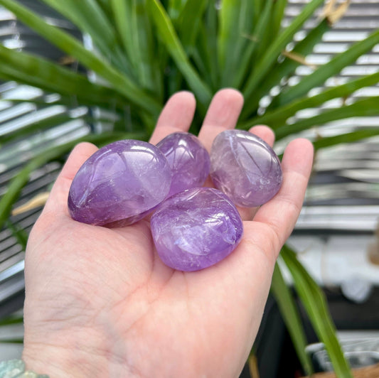 Amethyst Palm Stones (Small)