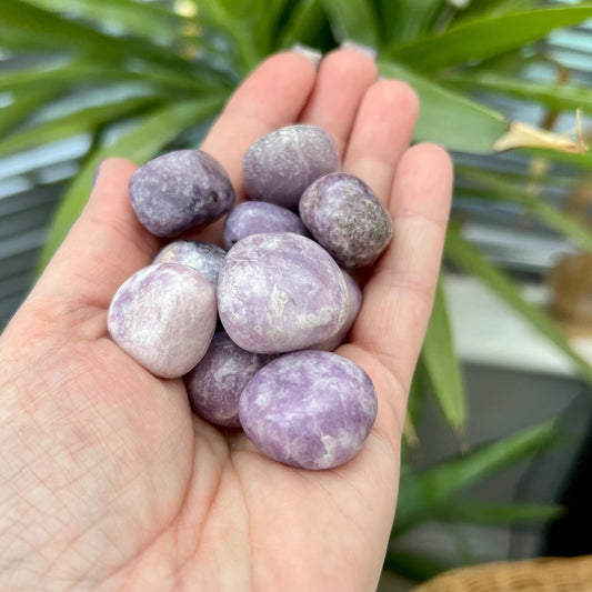 Lepidolite Tumblestones