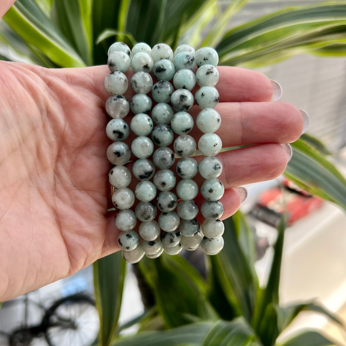 Kiwi Jasper Bead Bracelets