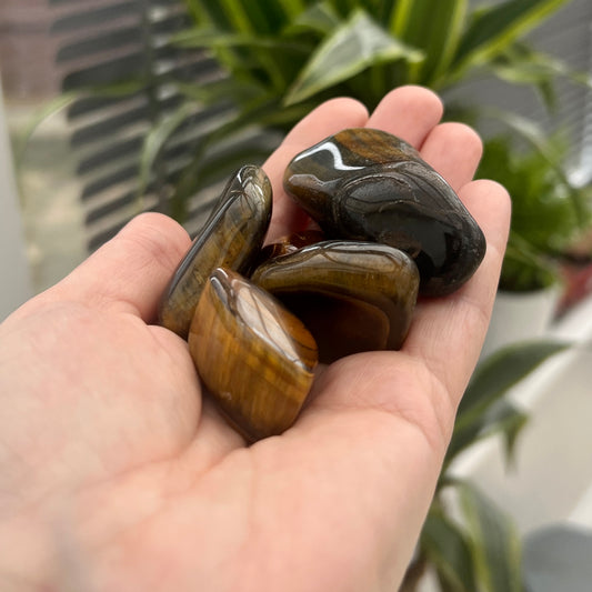 Tiger Eye TumbleStones