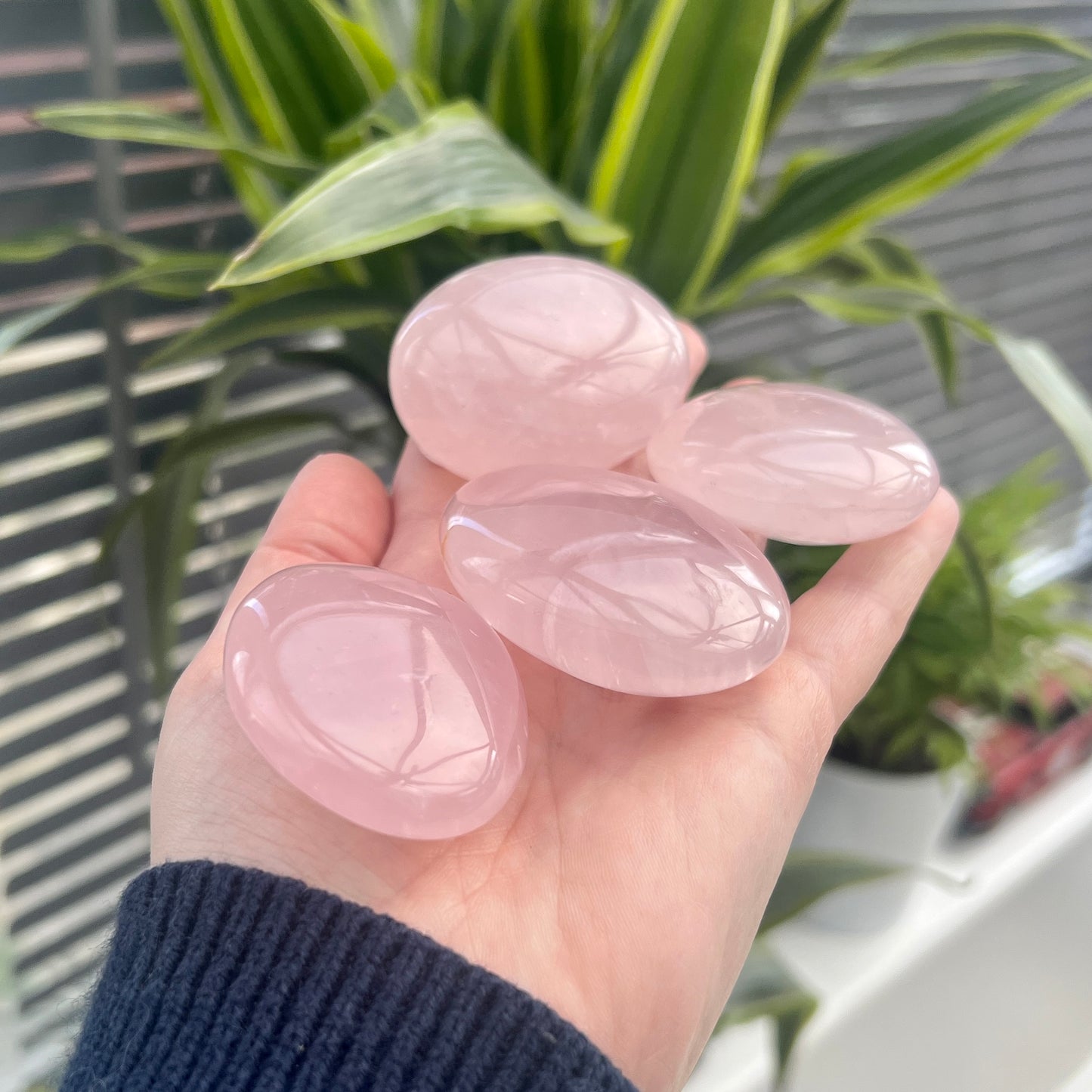 Rose Quartz Palm Stones