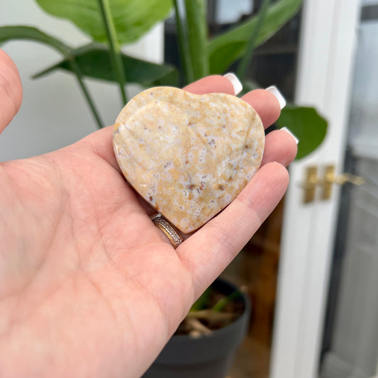 Fossil Coral Heart with Druzy
